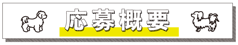 応募概要